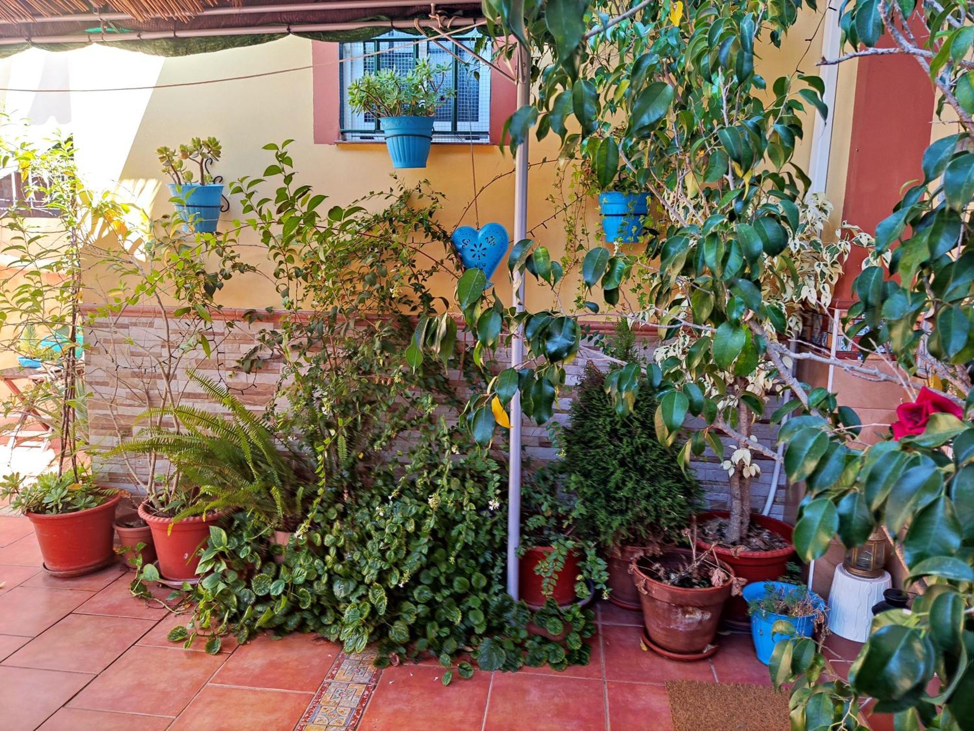 Apartamento Cool Garden Mairena del Aljarafe Exterior foto
