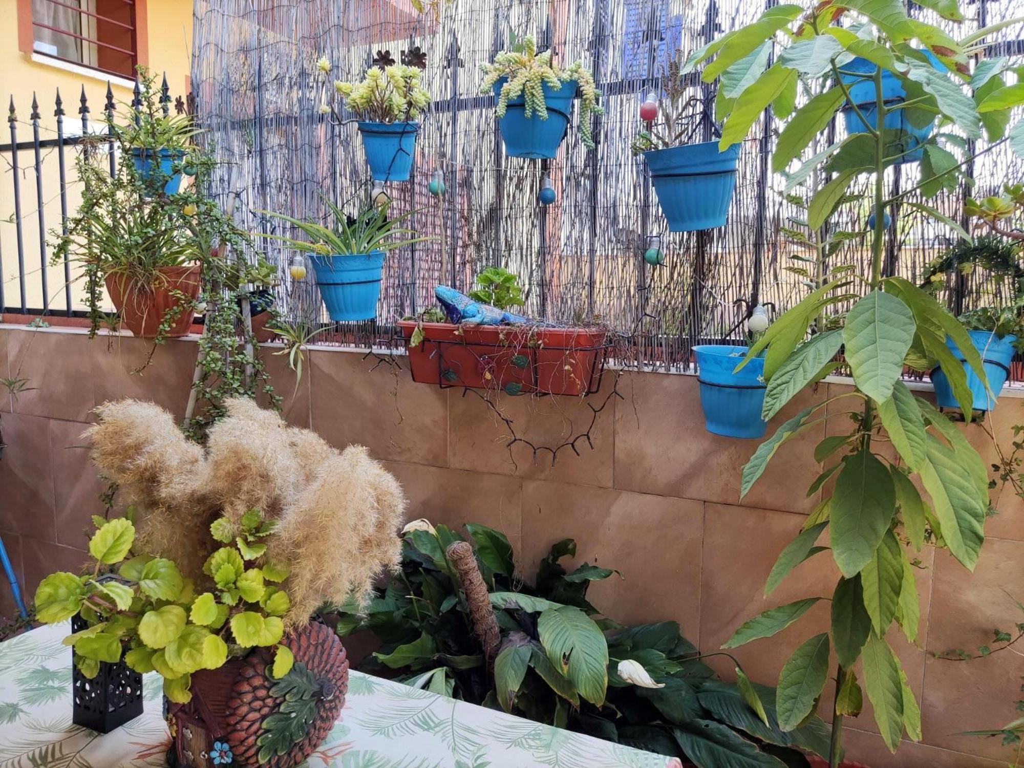Apartamento Cool Garden Mairena del Aljarafe Exterior foto